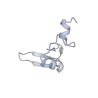 6784_5xy3_W_v1-3
Large subunit of Trichomonas vaginalis ribosome
