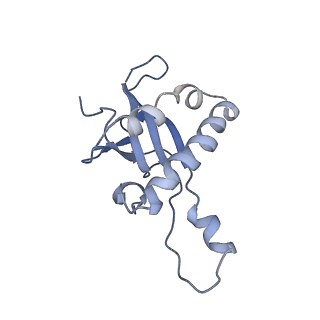 6784_5xy3_Z_v1-3
Large subunit of Trichomonas vaginalis ribosome