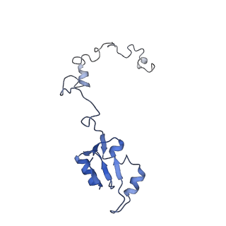 6784_5xy3_a_v1-3
Large subunit of Trichomonas vaginalis ribosome