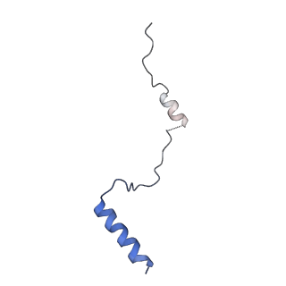 6784_5xy3_b_v1-3
Large subunit of Trichomonas vaginalis ribosome