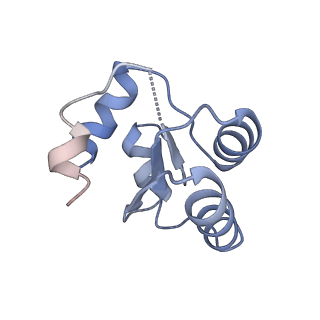 6784_5xy3_c_v1-3
Large subunit of Trichomonas vaginalis ribosome