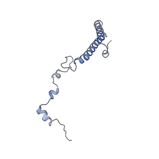 6784_5xy3_h_v1-3
Large subunit of Trichomonas vaginalis ribosome