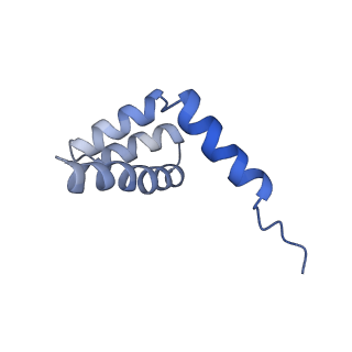 6784_5xy3_i_v1-3
Large subunit of Trichomonas vaginalis ribosome