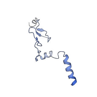 6784_5xy3_j_v1-3
Large subunit of Trichomonas vaginalis ribosome