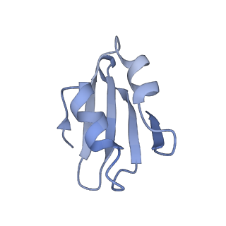 6784_5xy3_k_v1-3
Large subunit of Trichomonas vaginalis ribosome