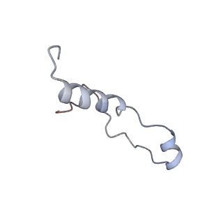 6784_5xy3_l_v1-3
Large subunit of Trichomonas vaginalis ribosome
