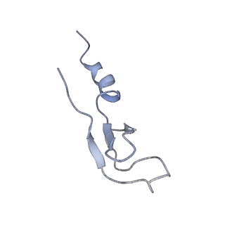6784_5xy3_m_v1-3
Large subunit of Trichomonas vaginalis ribosome