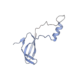 6784_5xy3_o_v1-3
Large subunit of Trichomonas vaginalis ribosome