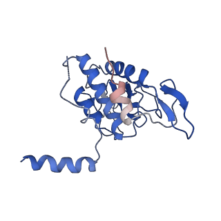 6788_5xyi_A_v1-2
Small subunit of Trichomonas vaginalis ribosome