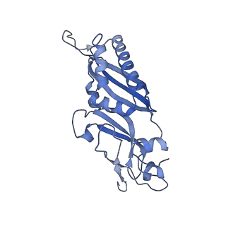 6788_5xyi_B_v1-1
Small subunit of Trichomonas vaginalis ribosome