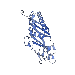 6788_5xyi_B_v1-2
Small subunit of Trichomonas vaginalis ribosome