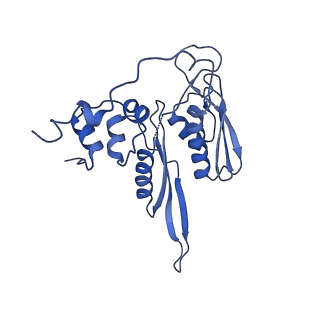 6788_5xyi_C_v1-2
Small subunit of Trichomonas vaginalis ribosome