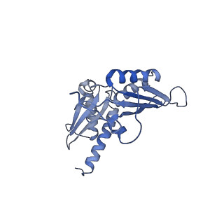 6788_5xyi_D_v1-1
Small subunit of Trichomonas vaginalis ribosome