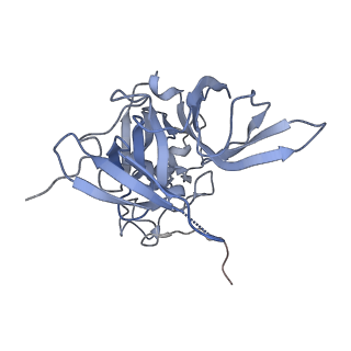 6788_5xyi_E_v1-1
Small subunit of Trichomonas vaginalis ribosome