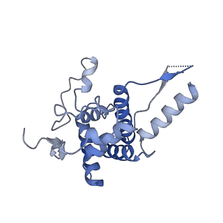 6788_5xyi_F_v1-2
Small subunit of Trichomonas vaginalis ribosome