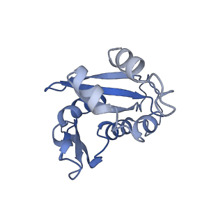 6788_5xyi_H_v1-2
Small subunit of Trichomonas vaginalis ribosome