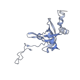 6788_5xyi_I_v1-1
Small subunit of Trichomonas vaginalis ribosome