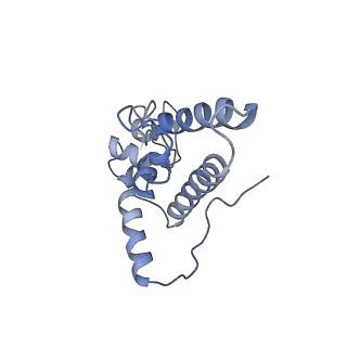 6788_5xyi_J_v1-1
Small subunit of Trichomonas vaginalis ribosome