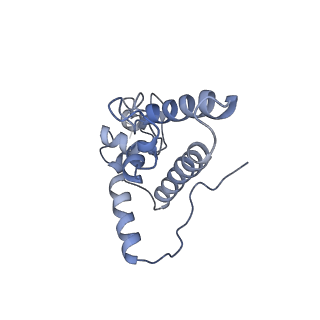 6788_5xyi_J_v1-2
Small subunit of Trichomonas vaginalis ribosome