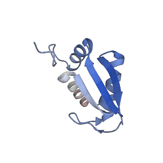 6788_5xyi_K_v1-2
Small subunit of Trichomonas vaginalis ribosome