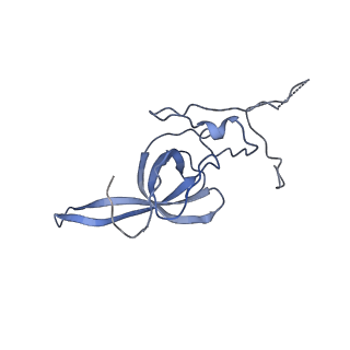 6788_5xyi_L_v1-1
Small subunit of Trichomonas vaginalis ribosome