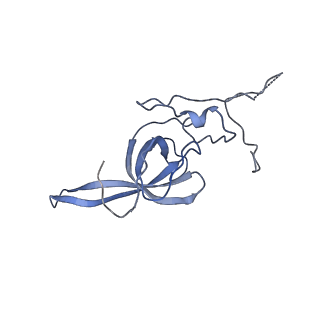 6788_5xyi_L_v1-2
Small subunit of Trichomonas vaginalis ribosome