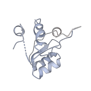 6788_5xyi_M_v1-1
Small subunit of Trichomonas vaginalis ribosome