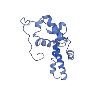 6788_5xyi_N_v1-1
Small subunit of Trichomonas vaginalis ribosome