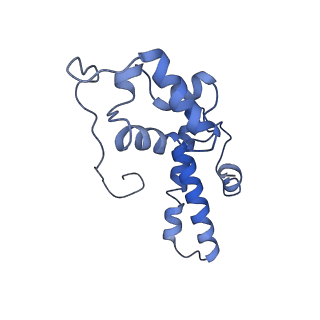 6788_5xyi_N_v1-2
Small subunit of Trichomonas vaginalis ribosome