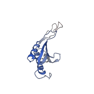 6788_5xyi_O_v1-1
Small subunit of Trichomonas vaginalis ribosome