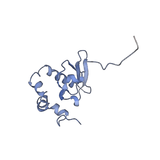 6788_5xyi_P_v1-1
Small subunit of Trichomonas vaginalis ribosome