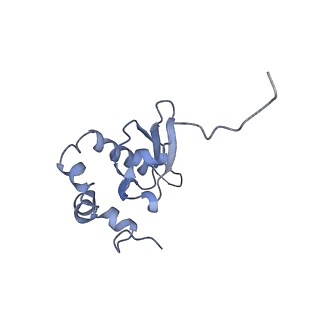 6788_5xyi_P_v1-2
Small subunit of Trichomonas vaginalis ribosome