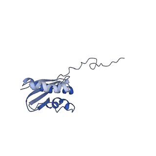 6788_5xyi_Q_v1-2
Small subunit of Trichomonas vaginalis ribosome