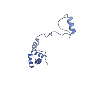 6788_5xyi_R_v1-1
Small subunit of Trichomonas vaginalis ribosome