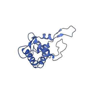 6788_5xyi_T_v1-1
Small subunit of Trichomonas vaginalis ribosome