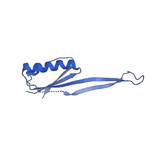 6788_5xyi_U_v1-2
Small subunit of Trichomonas vaginalis ribosome