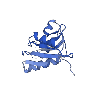 6788_5xyi_W_v1-2
Small subunit of Trichomonas vaginalis ribosome