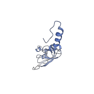 6788_5xyi_X_v1-1
Small subunit of Trichomonas vaginalis ribosome