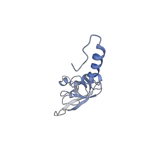 6788_5xyi_X_v1-2
Small subunit of Trichomonas vaginalis ribosome