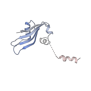 6788_5xyi_Y_v1-2
Small subunit of Trichomonas vaginalis ribosome