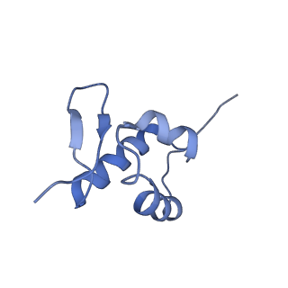 6788_5xyi_Z_v1-1
Small subunit of Trichomonas vaginalis ribosome