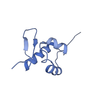 6788_5xyi_Z_v1-2
Small subunit of Trichomonas vaginalis ribosome