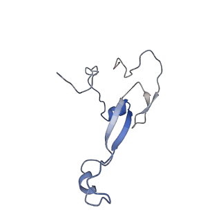 6788_5xyi_a_v1-1
Small subunit of Trichomonas vaginalis ribosome