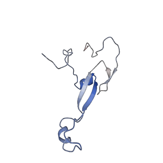 6788_5xyi_a_v1-2
Small subunit of Trichomonas vaginalis ribosome