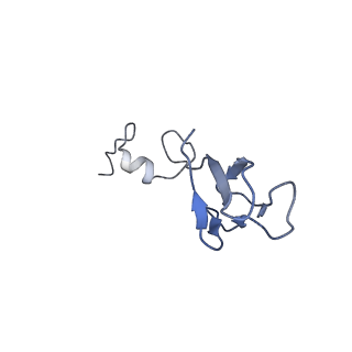 6788_5xyi_b_v1-1
Small subunit of Trichomonas vaginalis ribosome
