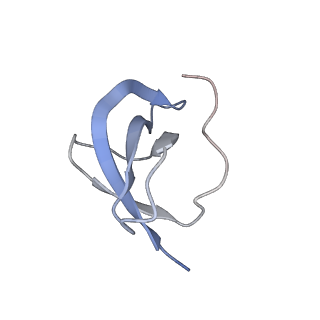 6788_5xyi_c_v1-2
Small subunit of Trichomonas vaginalis ribosome