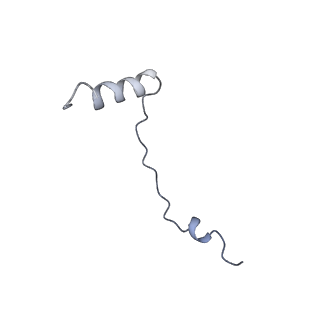 6788_5xyi_e_v1-1
Small subunit of Trichomonas vaginalis ribosome