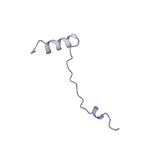 6788_5xyi_e_v1-2
Small subunit of Trichomonas vaginalis ribosome