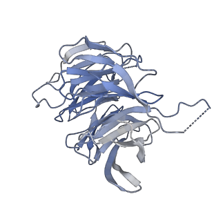 6788_5xyi_g_v1-2
Small subunit of Trichomonas vaginalis ribosome