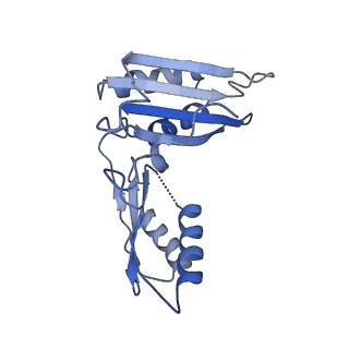 6790_5xyu_C_v1-2
Small subunit of Mycobacterium smegmatis ribosome